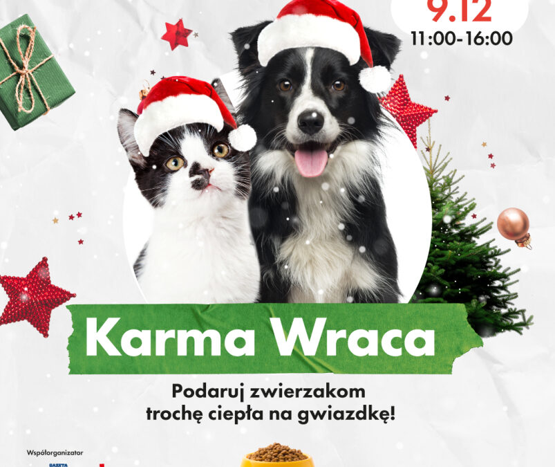 Karma Wraca – odbierz choinkę od Galerii Solnej w zamian za pomoc dla bezdomnych zwierzaków!