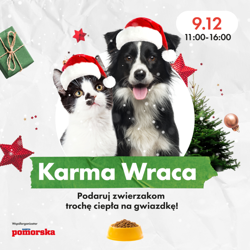 Karma Wraca – odbierz choinkę od Galerii Solnej w zamian za pomoc dla bezdomnych zwierzaków!