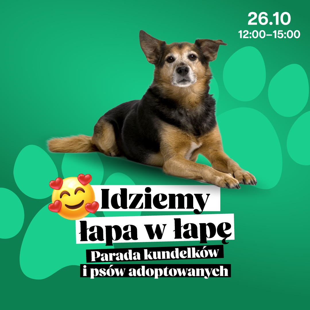 Idziemy łapa w łapę – Parada kundelków