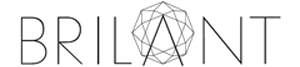 Obrazek przedstawia logotyp firmy BRILANT