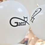 najemca gatta w galerii solnej