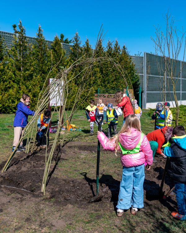 Dzieci z przedszkola podczas warsztatów ekologicznych sadzą altanę wierzbową na terenie przy galerii handlowej z okazji Dnia Ziemi.