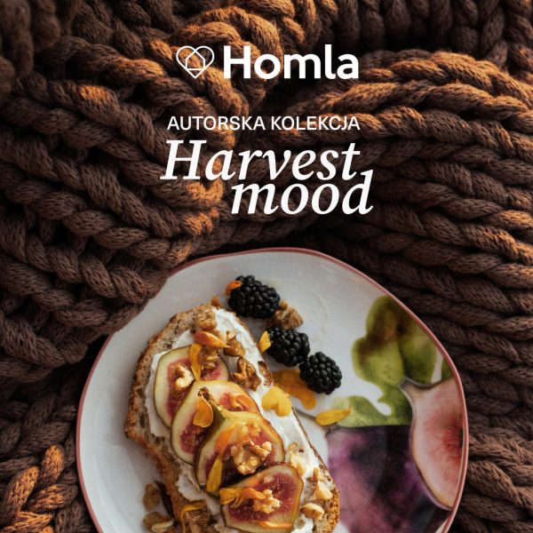Baner promocyjny marki Homla na tle brązowego, plecionego koca o grubym splocie. U góry widnieje białe logo „Homla” oraz napis „AUTORSKA KOLEKCJA Harvest mood”. W dolnej części umieszczono wzorzysty talerz ze śniadaniową kanapką na chlebie, udekorowaną plasterkami świeżych fig, orzechami włoskimi, płatkami kwiatów oraz jeżynami.