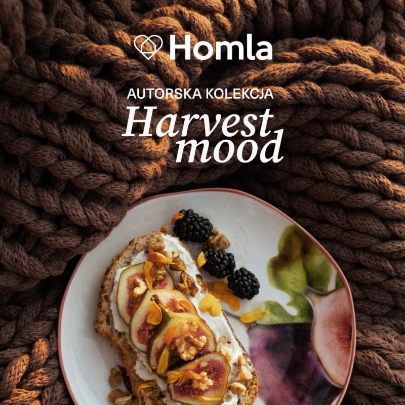 Baner promocyjny marki Homla na tle brązowego, plecionego koca o grubym splocie. U góry widnieje białe logo „Homla” oraz napis „AUTORSKA KOLEKCJA Harvest mood”. W dolnej części umieszczono wzorzysty talerz ze śniadaniową kanapką na chlebie, udekorowaną plasterkami świeżych fig, orzechami włoskimi, płatkami kwiatów oraz jeżynami.